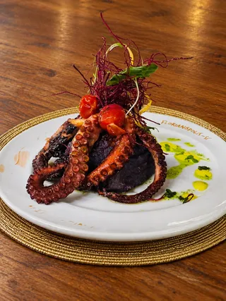 Mediterranean Octopus