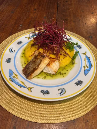 Amor à Ilha - Peixe do Dia